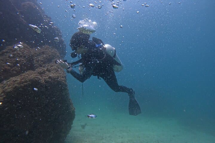 From Dubai to Fujairah: 3-Dive Reef Adventure with Night Dive and BBQ photo 2