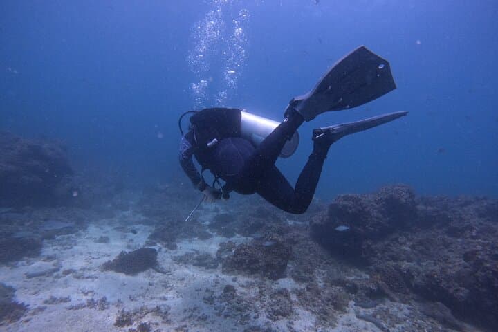 From Dubai to Fujairah: 3-Dive Reef Adventure with Night Dive and BBQ photo 6
