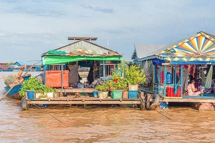 Mechrey Floating Village & Tonlé Sap Mangrove Cruise — Half-Day from Siem Reap photo 3