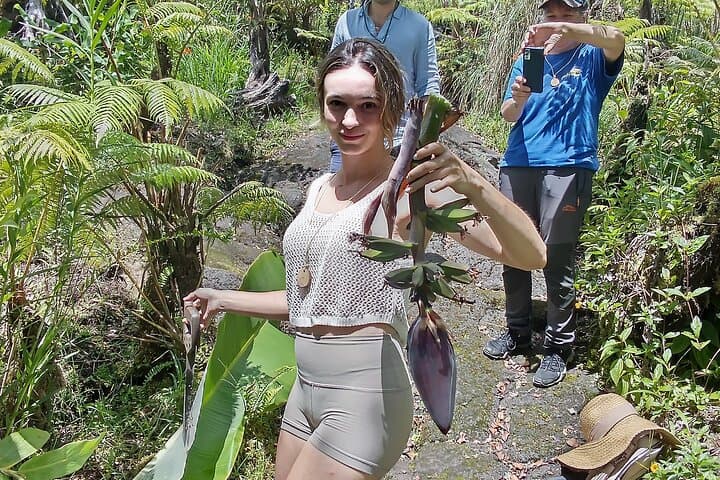 Big Island Jungle Tour: Tiki Carving, Banana Farming & Guava Green Tea in Fern Forest
