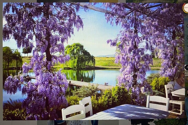 Paint and Sip at Graveyard Vineyards: Private Wine Country Canvas Experience photo 4