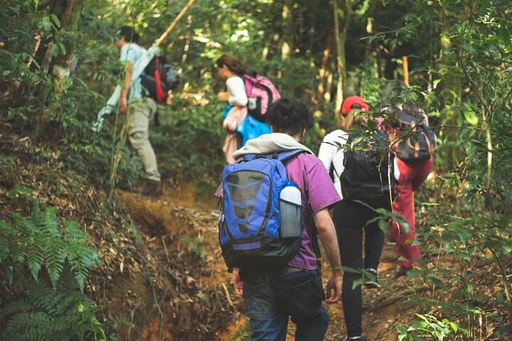 2-Day Jungle Camping Express from Iquitos: Dolphins, Monkeys & Night Safaris photo 6