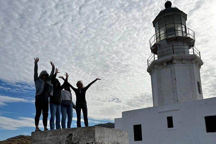 Private Mykonos Highlights Tour: Windmills, Little Venice & Beaches in 4 Hours