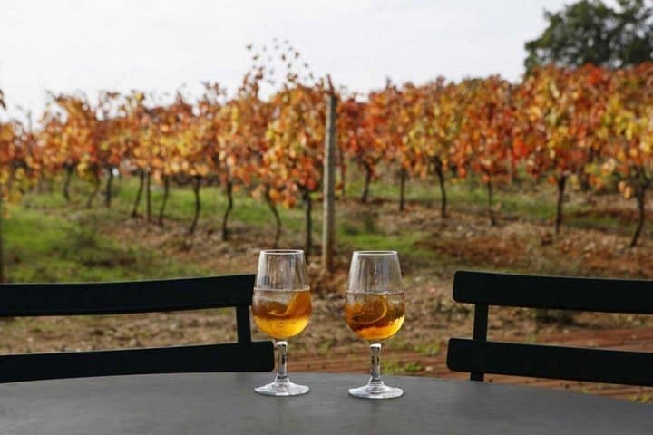 Setúbal & Arrábida Private Wine Tour from Lisbon: Azeitão Wines and Coastal Views photo 2