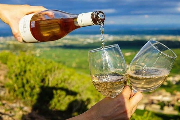 Setúbal & Arrábida Private Wine Tour from Lisbon: Azeitão Wines and Coastal Views photo 1