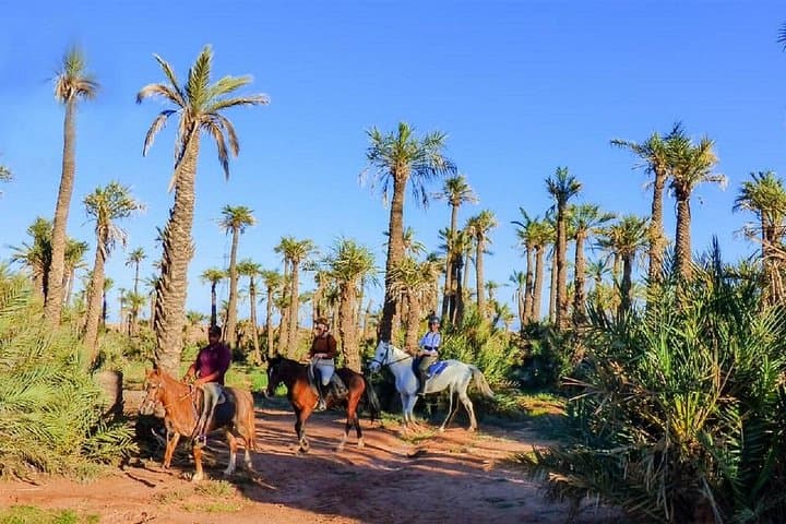Horseback Riding in Palmeraie Grove — 2-Hour Marrakesh Oasis Ride photo 5