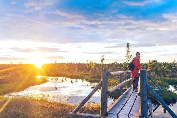 Rail Journey Through the Baltics: 13-Day Train Adventure Across Lithuania, Latvia & Estonia
