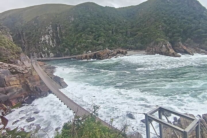 Garden Route Day Tour from Port Elizabeth to The Crags: Tsitsikamma, Monkeyland & Birds of Eden photo 5