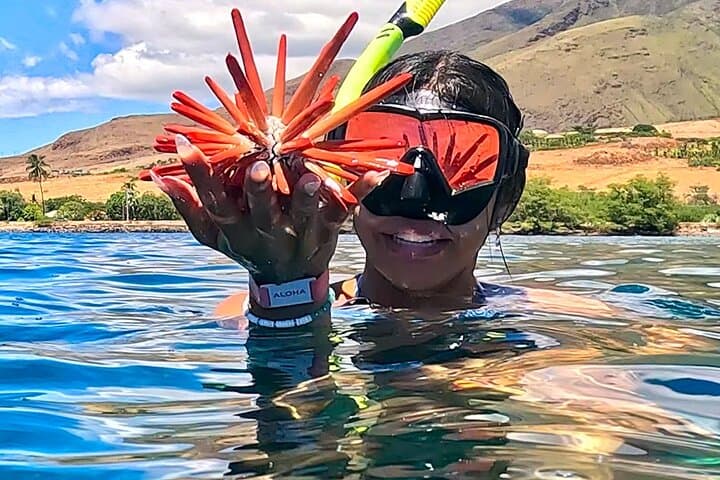 Guided Snorkeling at Olowalu: Beginner-Friendly Tours with Gabriel's Ohana