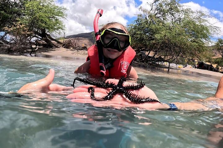 Guided Snorkeling at Olowalu: Beginner-Friendly Tours with Gabriel's Ohana photo 2