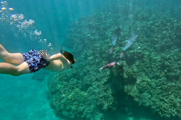 Guided Snorkeling at Olowalu: Beginner-Friendly Tours with Gabriel's Ohana photo 5