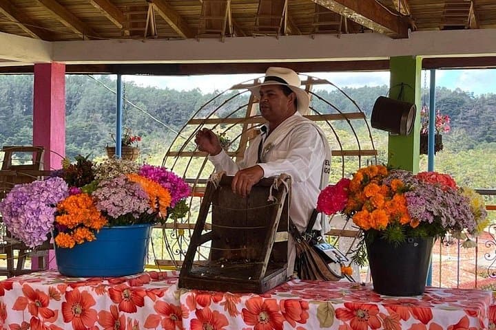 Inside Santa Elena: A Private Medellín Silleteros & Flower Farm Experience photo 4