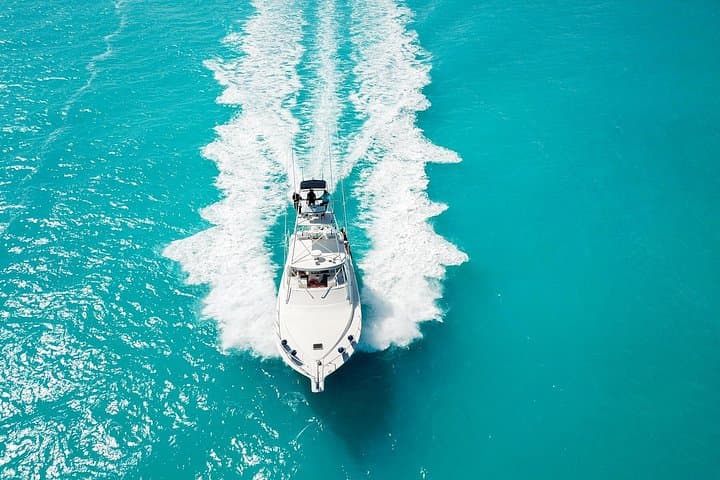 Pro Series Full-Day Deep-Sea Fishing: West Caicos Trophy Angling photo 3