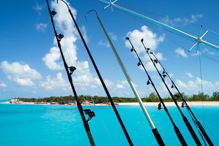 Pro Series Full-Day Deep-Sea Fishing: West Caicos Trophy Angling photo 4