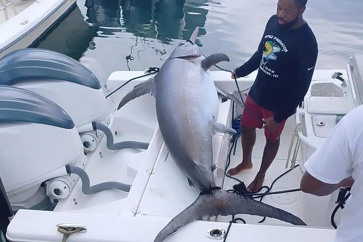 Pro Series Full-Day Deep-Sea Fishing: West Caicos Trophy Angling photo 6