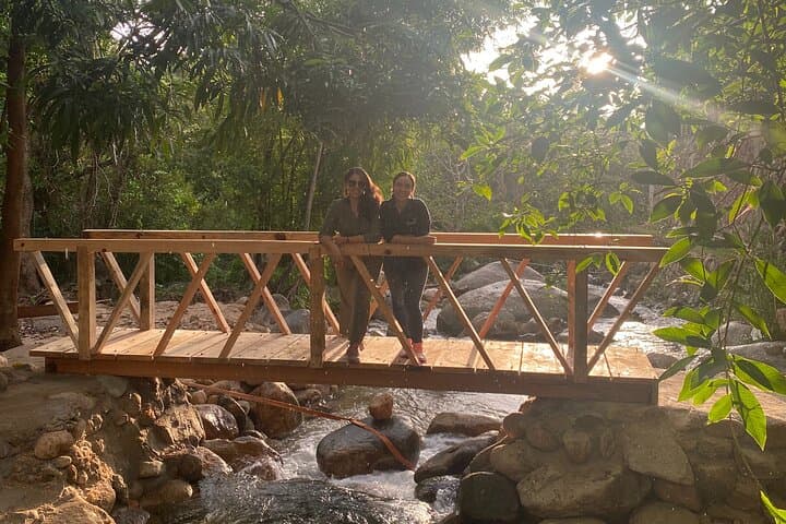 Puerto Vallarta Express: Butterfly Garden, Tequila Tasting & Mismaloya Beach Day photo 4