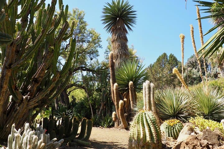 Explore Ruth Bancroft Garden: Walnut Creek Succulent & Cactus Garden Admission photo 3