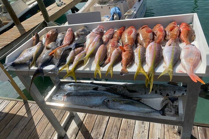 Full-Day Private Bottom Fishing Charter on Serendipity in Providenciales photo 6