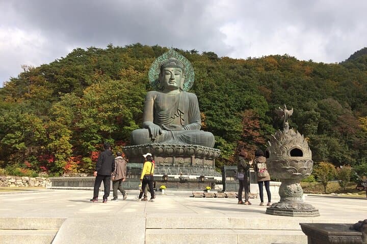 Seorak, Nami Island & Eobi Ice Valley: Winter Day Tour from Seoul photo 6