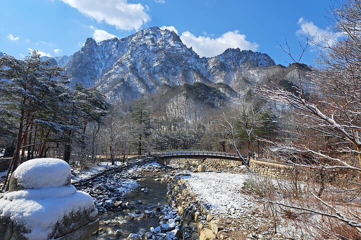Seorak, Nami Island & Eobi Ice Valley: Winter Day Tour from Seoul photo 5