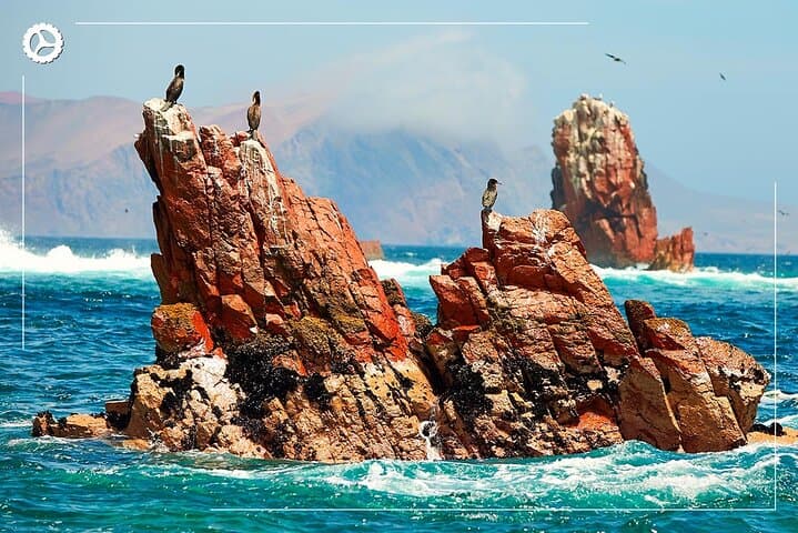 Explore Peru: 19-Day Lima to Cusco Adventure with Machu Picchu & Salkantay photo 3