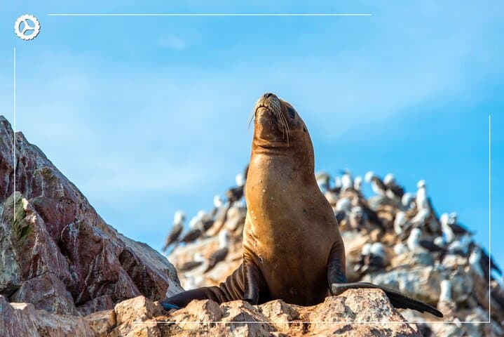 Explore Peru: 19-Day Lima to Cusco Adventure with Machu Picchu & Salkantay photo 6