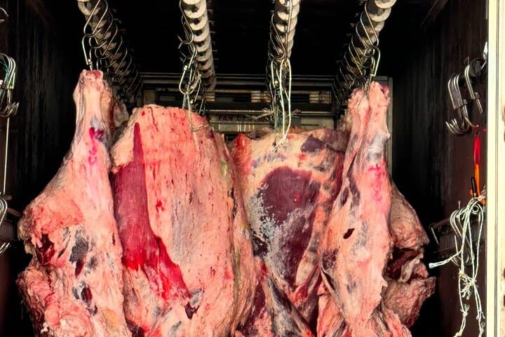 Majang Meat Market Tour & Premium Hanwoo BBQ in Seoul photo 3