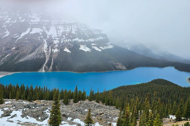 Icefields Parkway and Abraham Lake Bubbles Private Tour — Winter Day Trip from Canmore photo 5