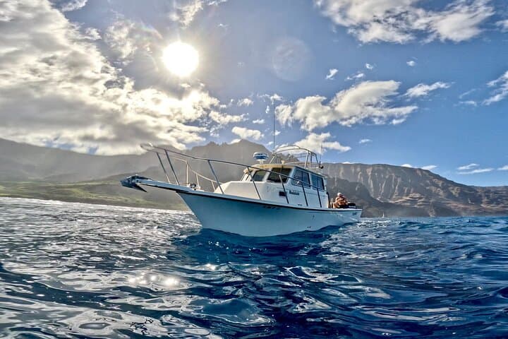 Private Whale Watch and Snorkel Off Kaua'i — Kauai Morning Charter photo 4