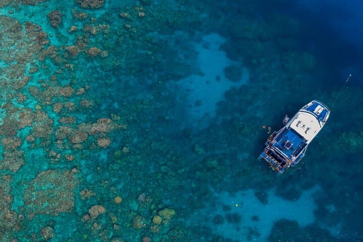 Cairns Best-Value Outer Barrier Reef Cruise with Snorkeling & Optional Scuba photo 2