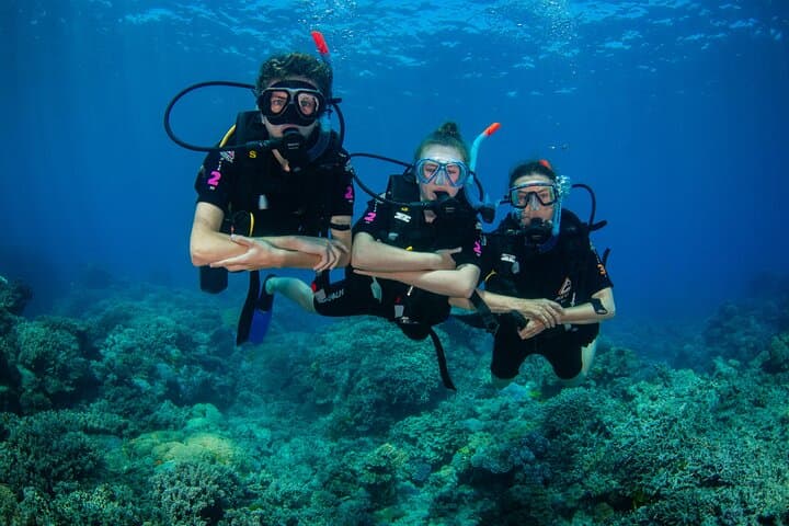 Cairns Best-Value Outer Barrier Reef Cruise with Snorkeling & Optional Scuba photo 4
