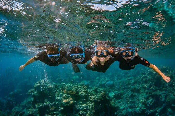 Cairns Best-Value Outer Barrier Reef Cruise with Snorkeling & Optional Scuba photo 5
