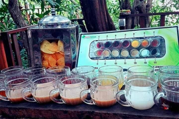 Ubud Swing & Village Tour — Swinging, Coffee Tasting and Kantolampo Waterfall photo 4