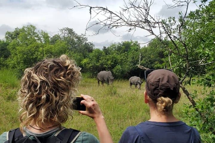 Murchison Falls 2-Day Private Safari — Game Drives, Boat Cruise & Rhino Tracking photo 3