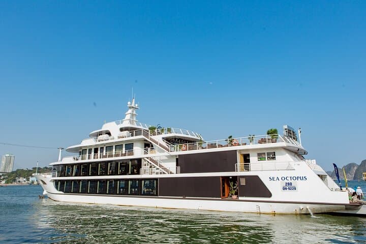 VIP Ha Long Bay Day Cruise — Buffet Lunch, Titop Island & Sung Sot Cave photo 5