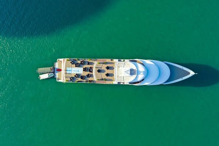 Sea Octopus Day Cruise — Luxury Halong Bay Day Trip from Hanoi photo 2