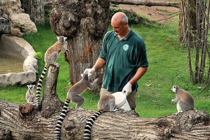Villa Borghese Golf Cart Tour + Bioparco Zoo Skip-the-Line — Rome Day Experience photo 3