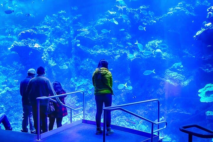 Inside California Academy of Sciences: Private Guided Tour in Golden Gate Park photo 3