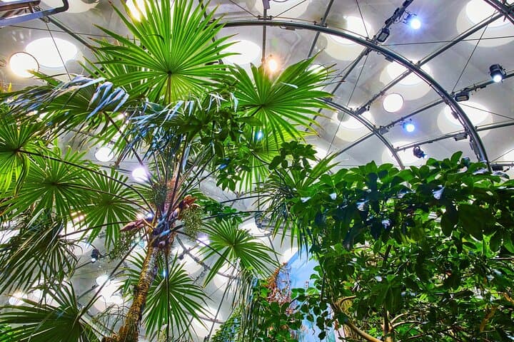 Inside California Academy of Sciences: Private Guided Tour in Golden Gate Park photo 4