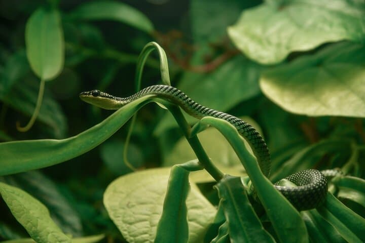 Inside California Academy of Sciences: Private Guided Tour in Golden Gate Park photo 5