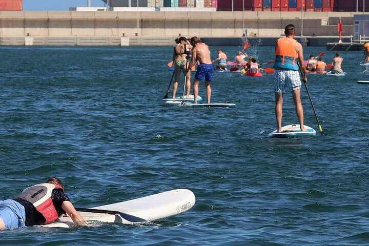 Adventure Paddle on Valencia Bay: 1-Hour SUP Experience on the Mediterranean photo 2