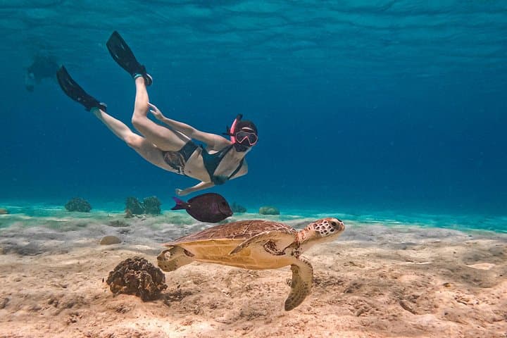 VIP Private Snorkeling in Bonaire: Private Guided Reef Tours with Underwater Photos photo 3