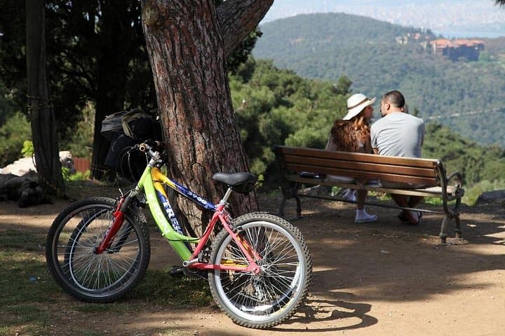 Full-Day Princes' Islands Boat Tour from Istanbul — Büyükada & Kınalıada with Lunch photo 2