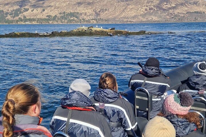 Speed RIB on Loch Linnhe: 90-Minute Wildlife & Ben Nevis Cruise from Fort William photo 2