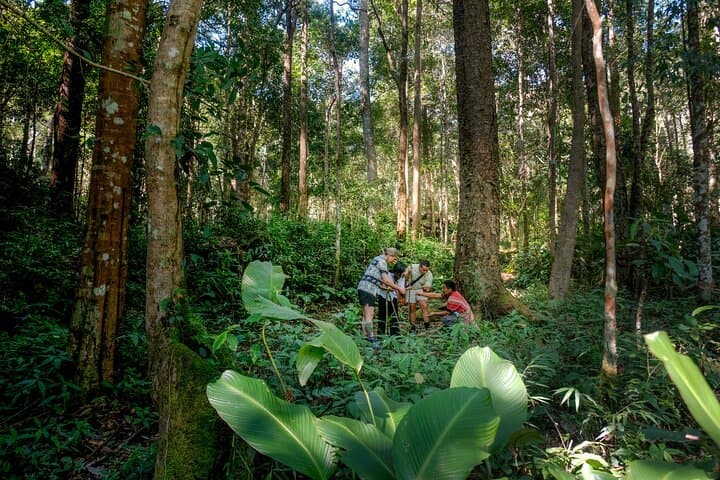 Chiang Mai Coffee Forest Experience: Hand-Roasting & V60 Brewing with Karen Hosts photo 3