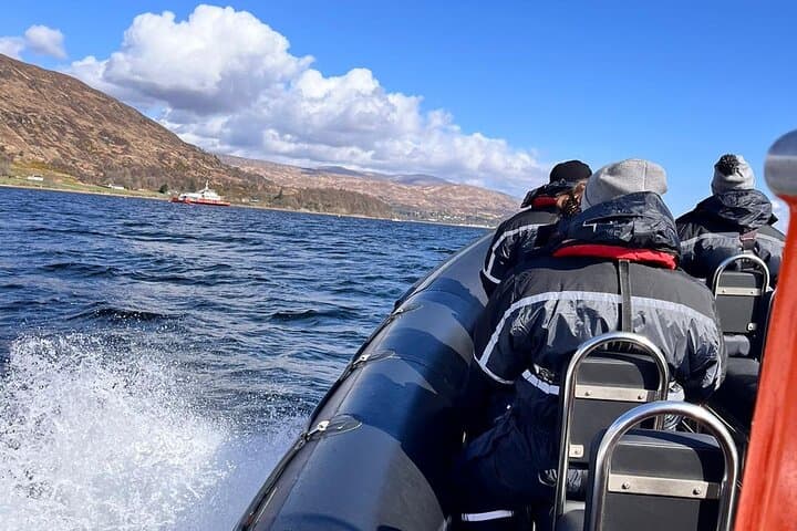 Speed RIB on Loch Linnhe: 90-Minute Wildlife & Ben Nevis Cruise from Fort William photo 3