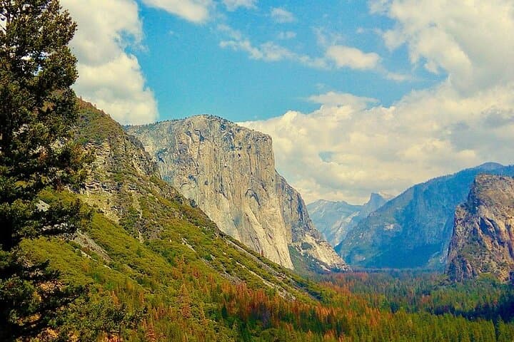 Yosemite in a Day: Private Day Tour from San Francisco to Yosemite Valley photo 1