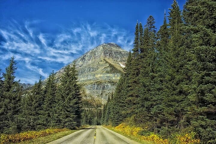 Yosemite in a Day: Private Day Tour from San Francisco to Yosemite Valley photo 2