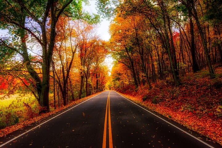 Autumn Romance Escape: Nashville Couples' Getaway Along the Natchez Trace photo 2