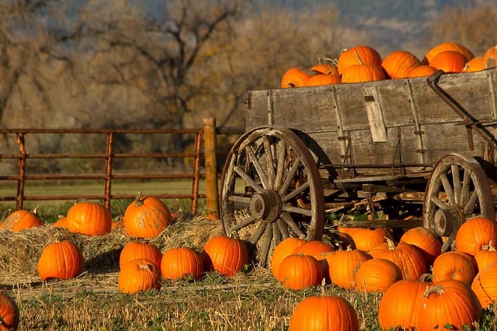 Autumn Romance Escape: Nashville Couples' Getaway Along the Natchez Trace photo 3